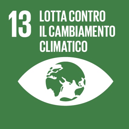 Badge obiettivo di sostenibilità - Lotta contro il cambiamento climatico - Istituto Vigilanza